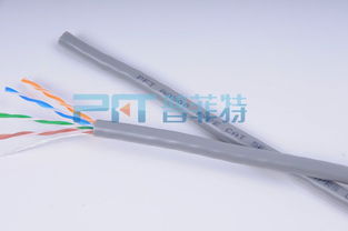 网络线 信息时代的血脉与纽带